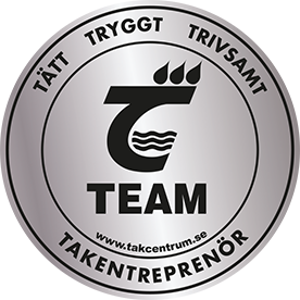T Team